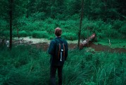 憤怒的小鳥(niǎo)2免費(fèi)游戲，開(kāi)啟你的綠色飛行之旅
