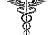 夢(mèng)中的蛇影，解析頻繁夢(mèng)見(jiàn)蛇的神秘現(xiàn)象，解析頻繁夢(mèng)見(jiàn)蛇的神秘現(xiàn)象，夢(mèng)中的蛇影之謎