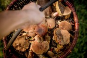 解析夢(mèng)境中的拉屎象征意義，解析夢(mèng)境中的拉屎象征意義