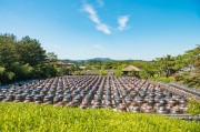 打造空中農田，讓夢想照進現實——免費種地游戲的探索與啟示，空中農田，挑戰(zhàn)、機遇與啟示——一個免費種地游戲的探討