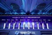 openGauss公布新進(jìn)展：累計裝機量達(dá)10萬以上，在線下集中式關(guān)系型數(shù)據(jù)庫新增市場份額達(dá)30.2%