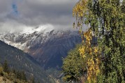 夢(mèng)境中的狂風(fēng)暴雨，一場(chǎng)心靈的洗禮，夢(mèng)境狂風(fēng)暴雨，心靈的洗禮之旅