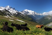 自由的纜車上山之旅，纜車旅行，一次自由探索山區(qū)的美妙體驗(yàn)
