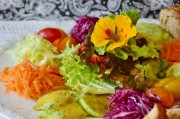 探索美食的樂(lè)趣，制作漢堡游戲免費(fèi)下載，漢堡大戰(zhàn)，模擬漢堡制作大師