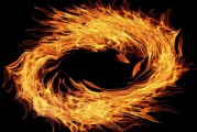 模擬經(jīng)營游戲免費游戲的天堂與地獄，模擬經(jīng)營游戲，天堂還是地獄？