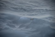 翱翔太空的戰(zhàn)爭(zhēng)游戲——星際爭(zhēng)霸，星際爭(zhēng)霸，浩瀚宇宙中的英勇對(duì)決