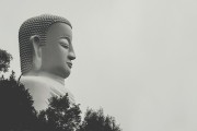 夢(mèng)中與母親爭(zhēng)吵的反思，夢(mèng)中與母親爭(zhēng)吵的深度反思