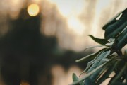 漫漫的ACG之路，尋找和熱愛的那份樂趣，ACG之路上，探索與熱愛的樂趣