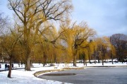 夢(mèng)到雪的寓意與解讀，夢(mèng)到雪的寓意與象征解讀