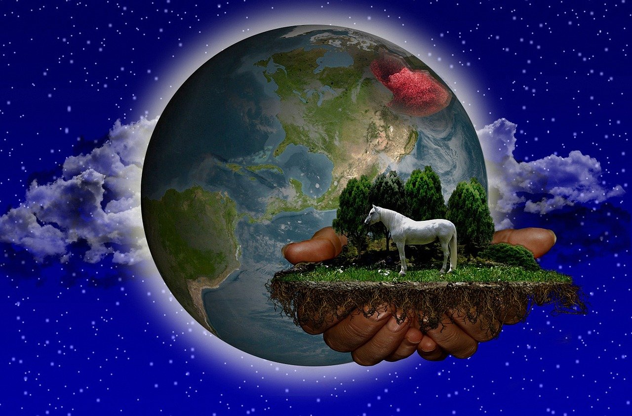 探索虛擬現(xiàn)實的世界，VR免費游戲下載地址指南