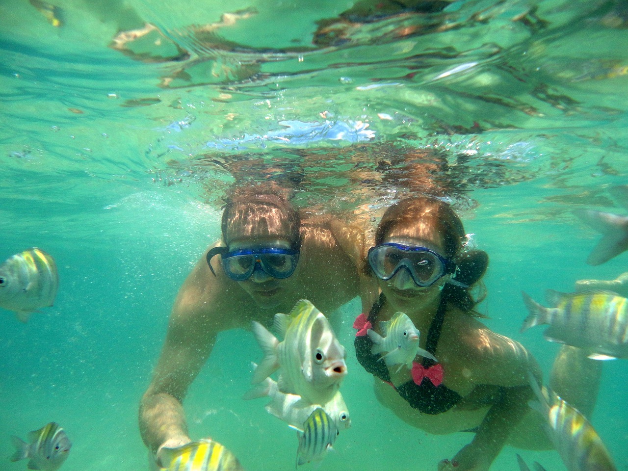 夢(mèng)到逮魚(yú)的奇妙之旅