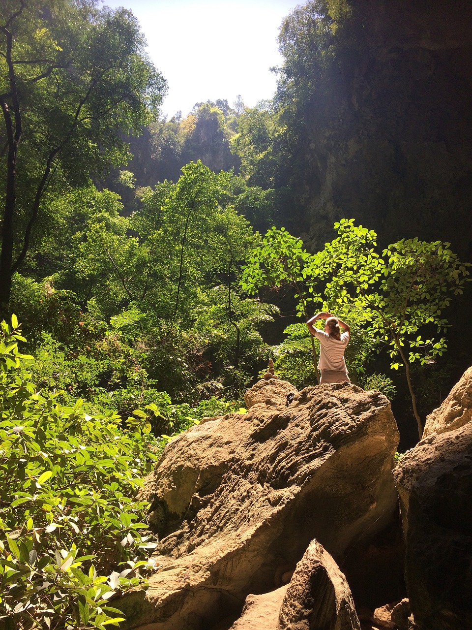 山路之夢，探索未知的旅程
