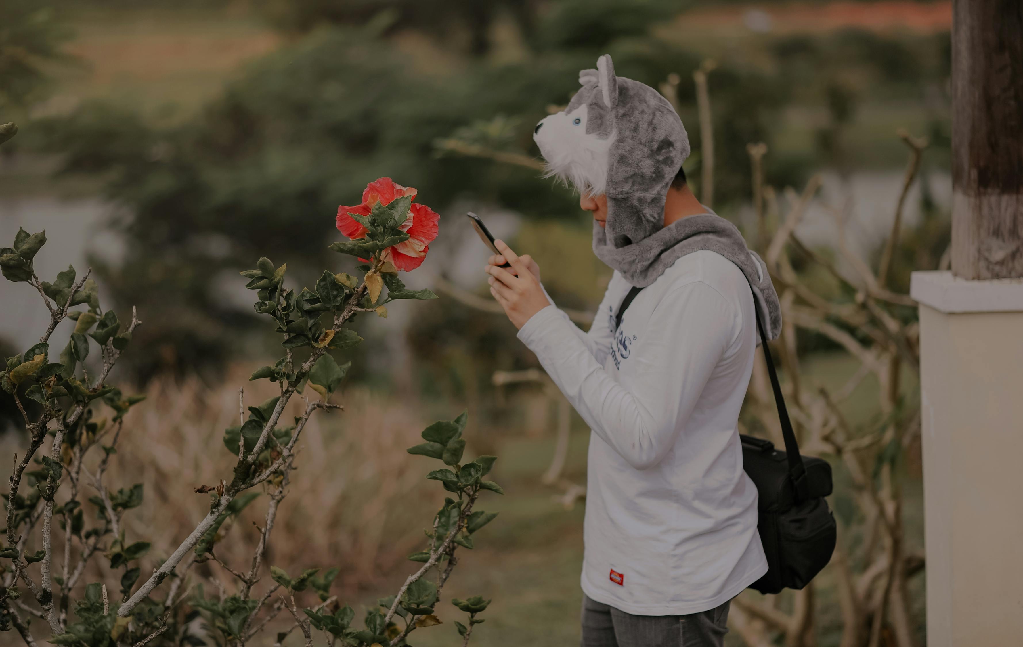 夢(mèng)中情深——我與我的愛妻