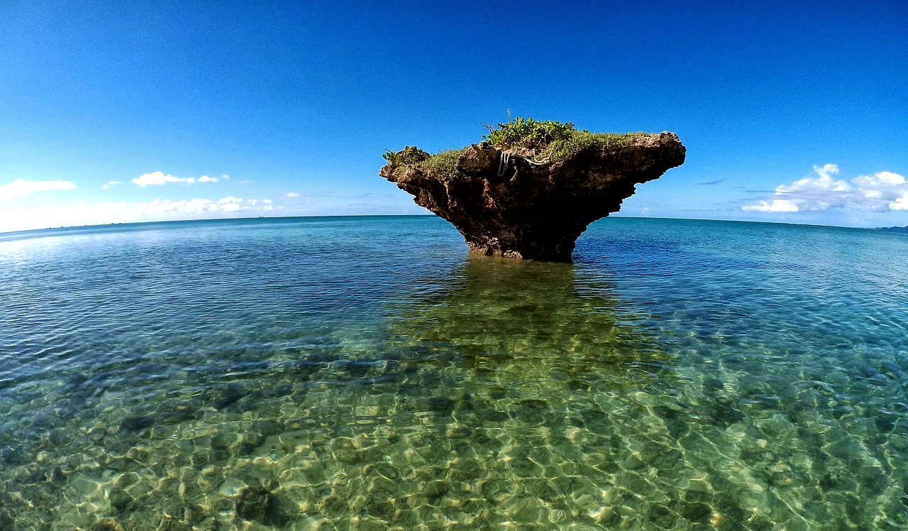 鯊魚游戲免費(fèi)下載，帶你體驗最真實的海洋世界