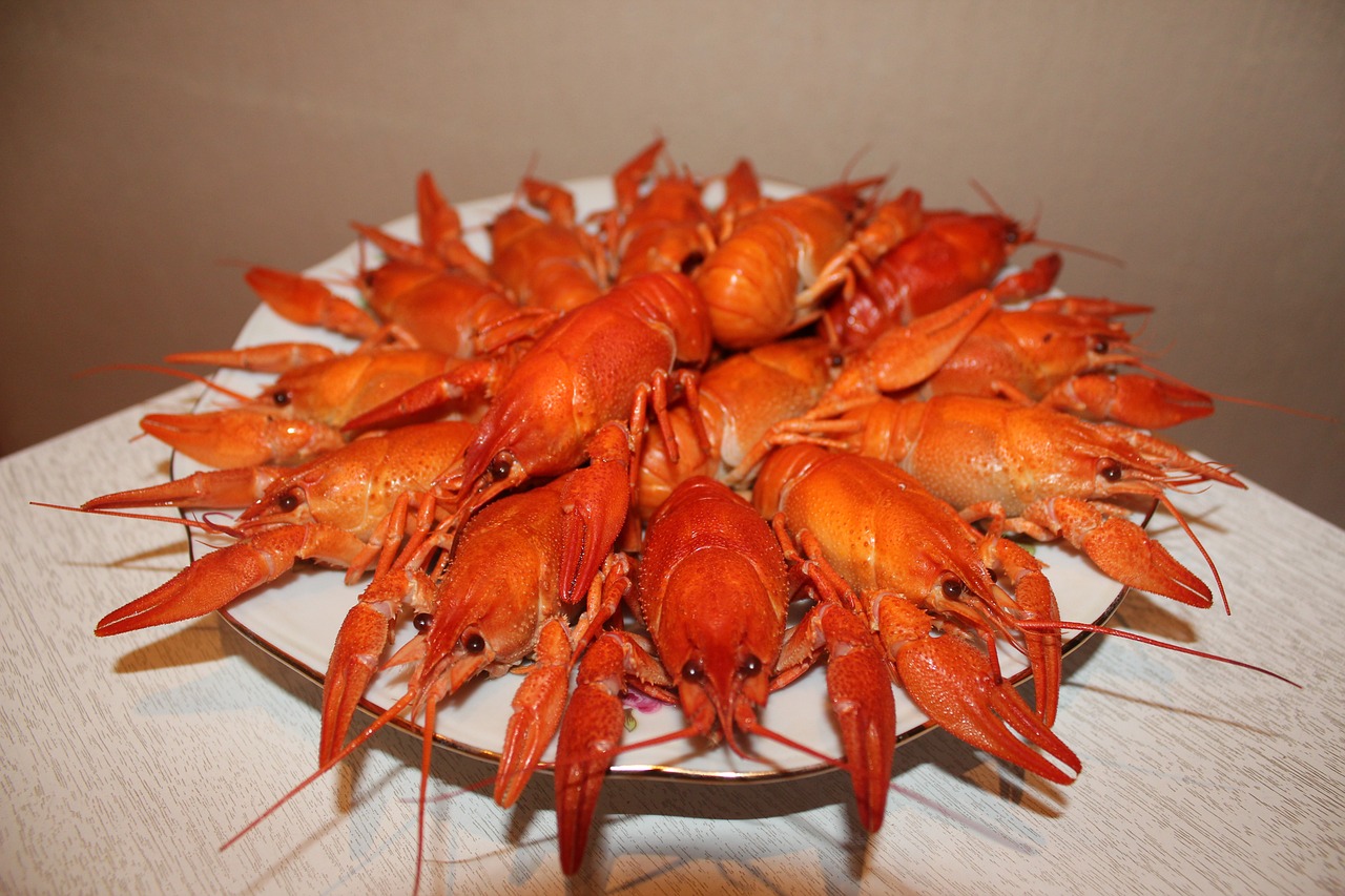 夢(mèng)中的美食之旅，一次奇妙的龍蝦盛宴