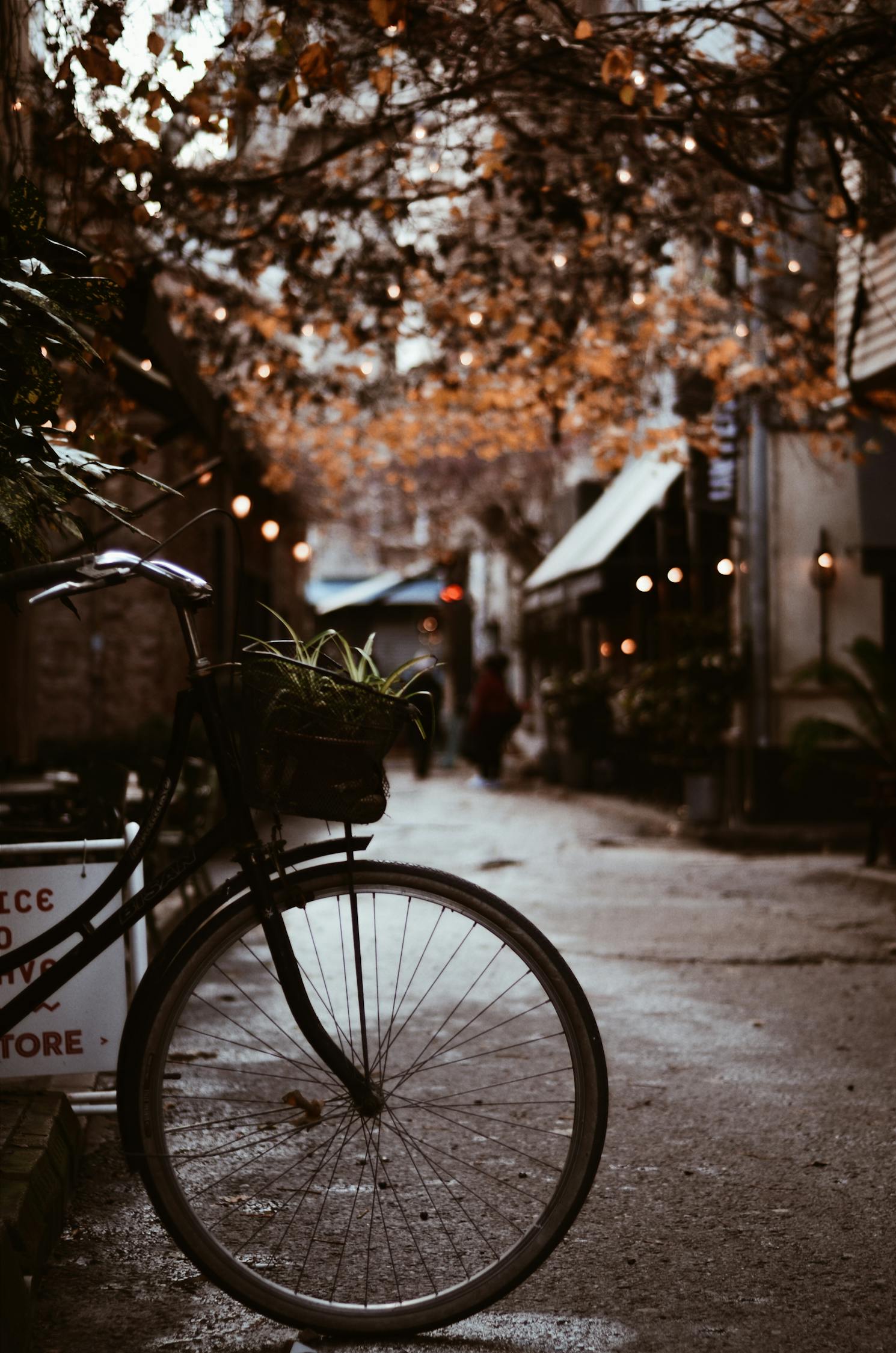 夢中的電車之旅，一次難忘的騎行體驗