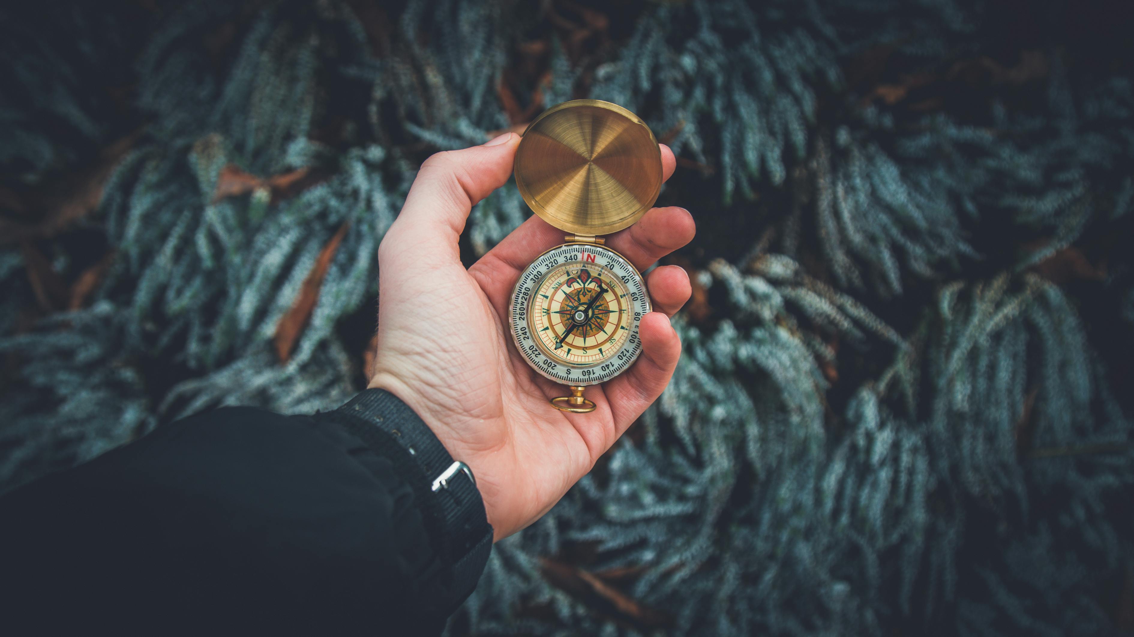 黃金之夢，探索夢境中的無盡財(cái)富