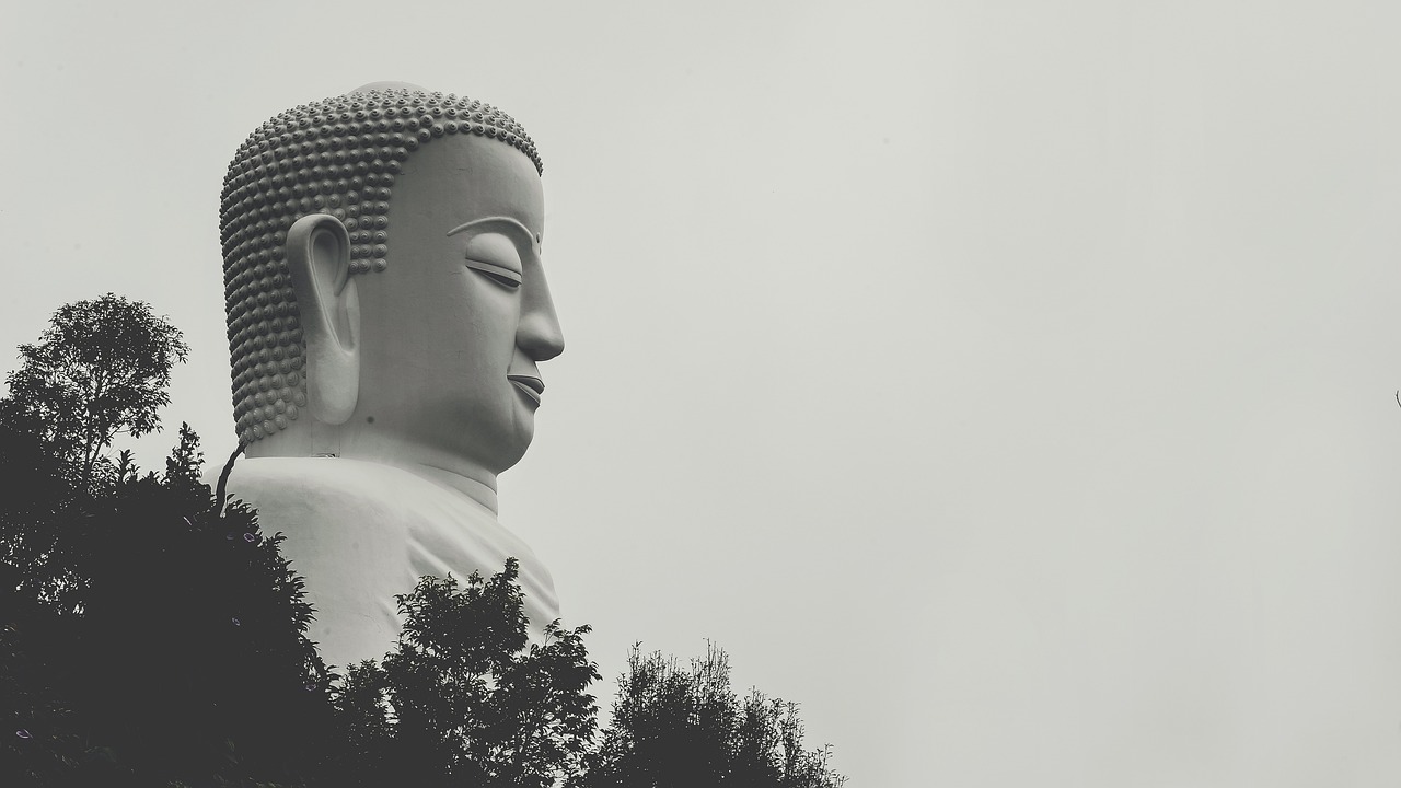 夢(mèng)中之旅，與他人共度的奇妙時(shí)光