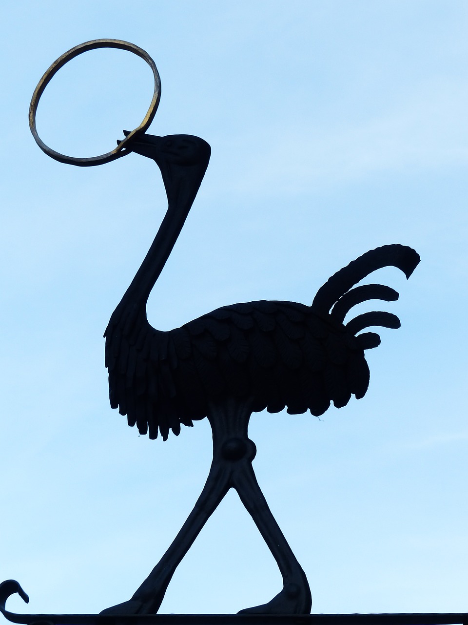 夢(mèng)中的魚(yú)咬人，解讀與解析
