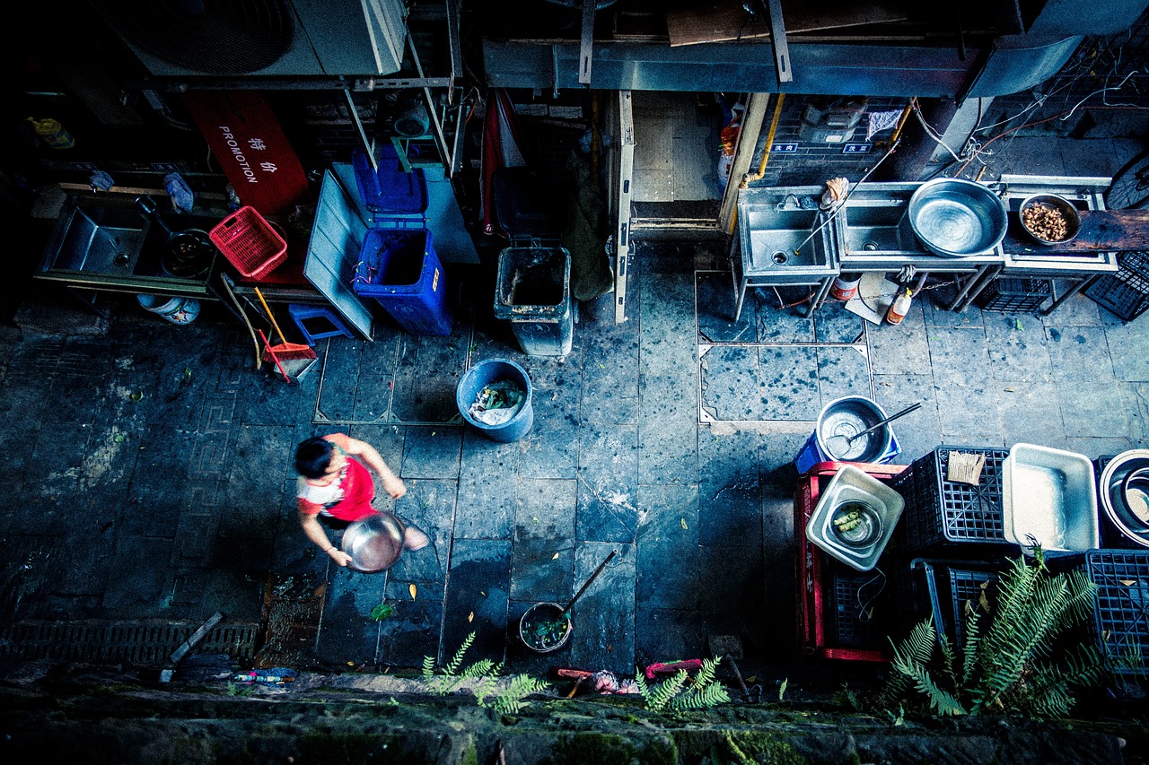 夢(mèng)中的毒蜘蛛，一場(chǎng)驚悚的夢(mèng)境之旅