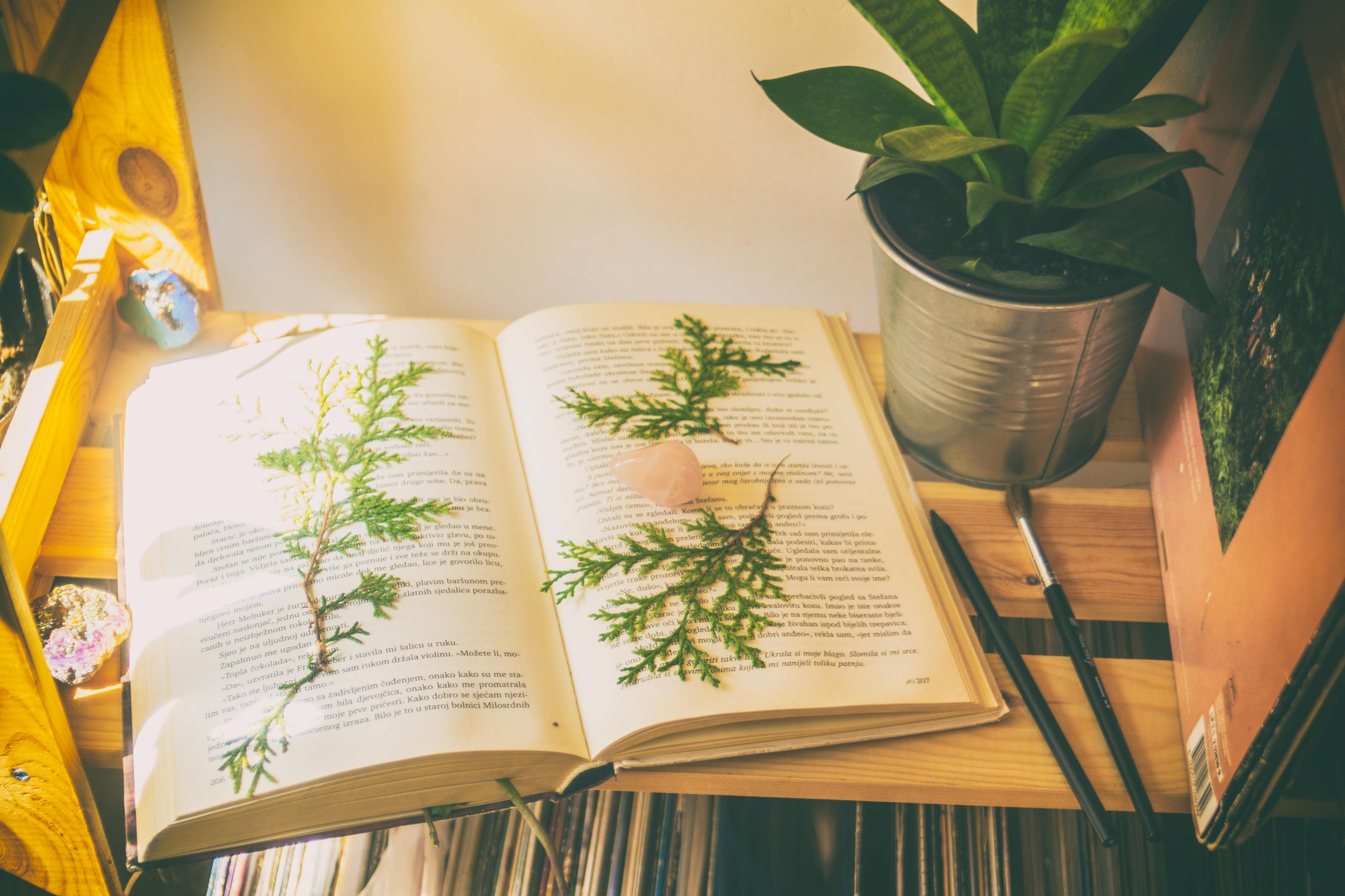 游戲荒，推薦一些免費(fèi)的游戲來填補(bǔ)你的空閑時(shí)間