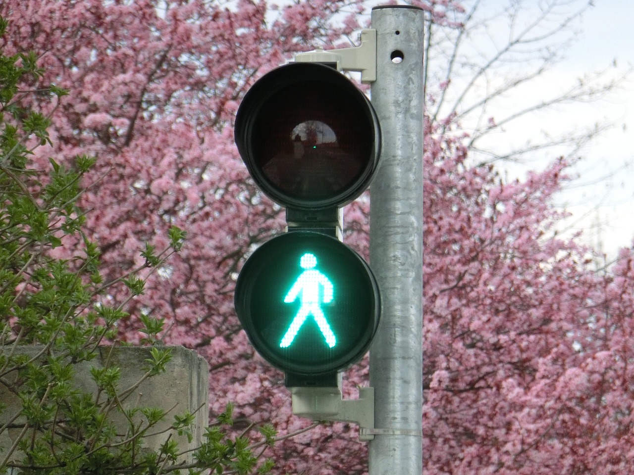 新車輪胎發(fā)黃的原因是什么？如何預(yù)防和處理這一問題？