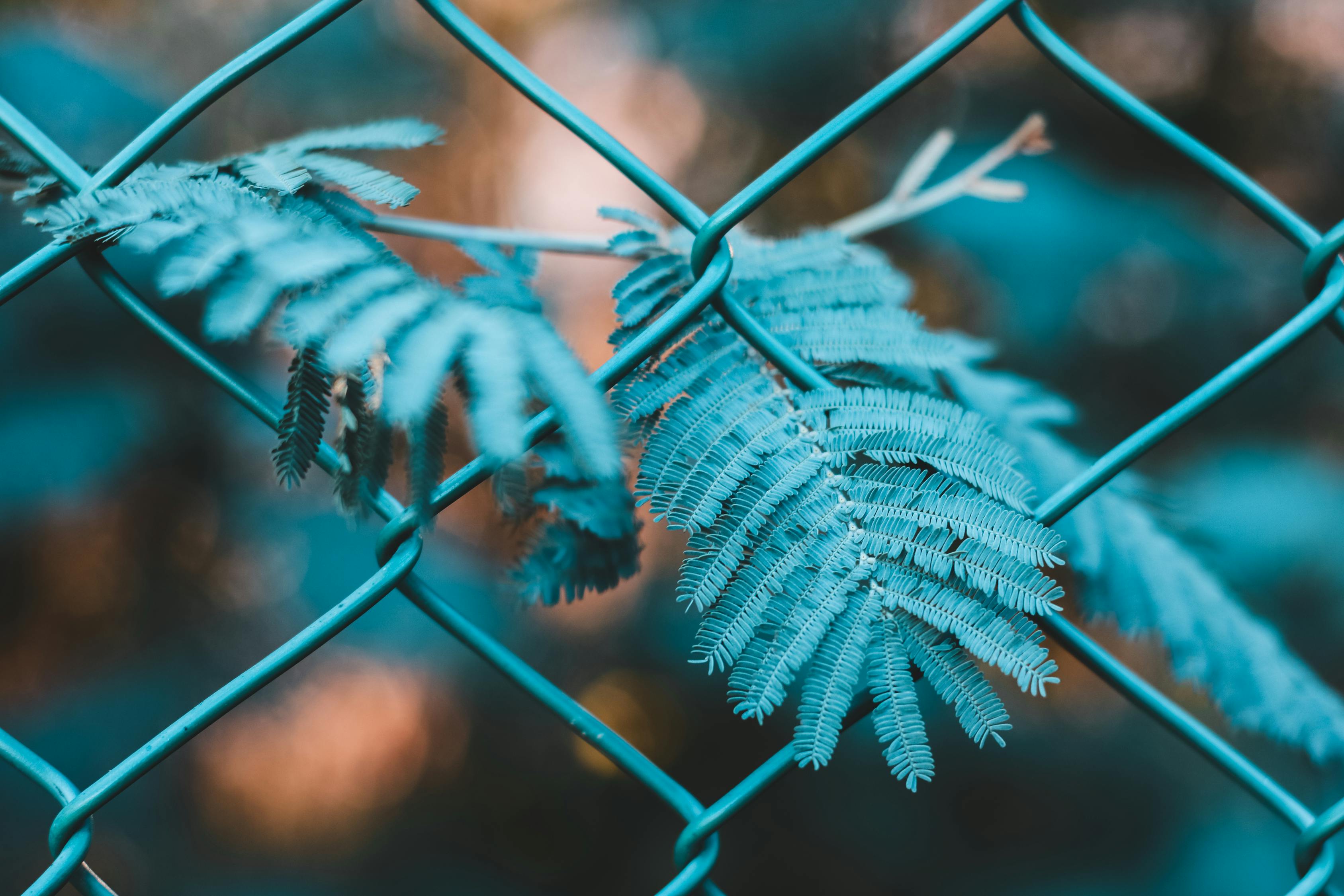如何進(jìn)行有效的網(wǎng)站SEO優(yōu)化？