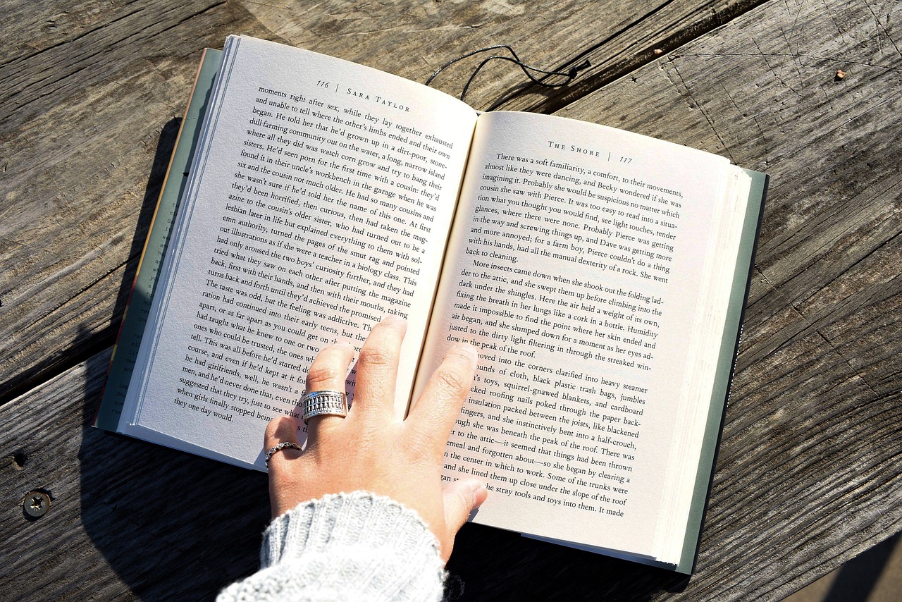 挖掘小說網(wǎng)站流量的秘密，策略和技巧