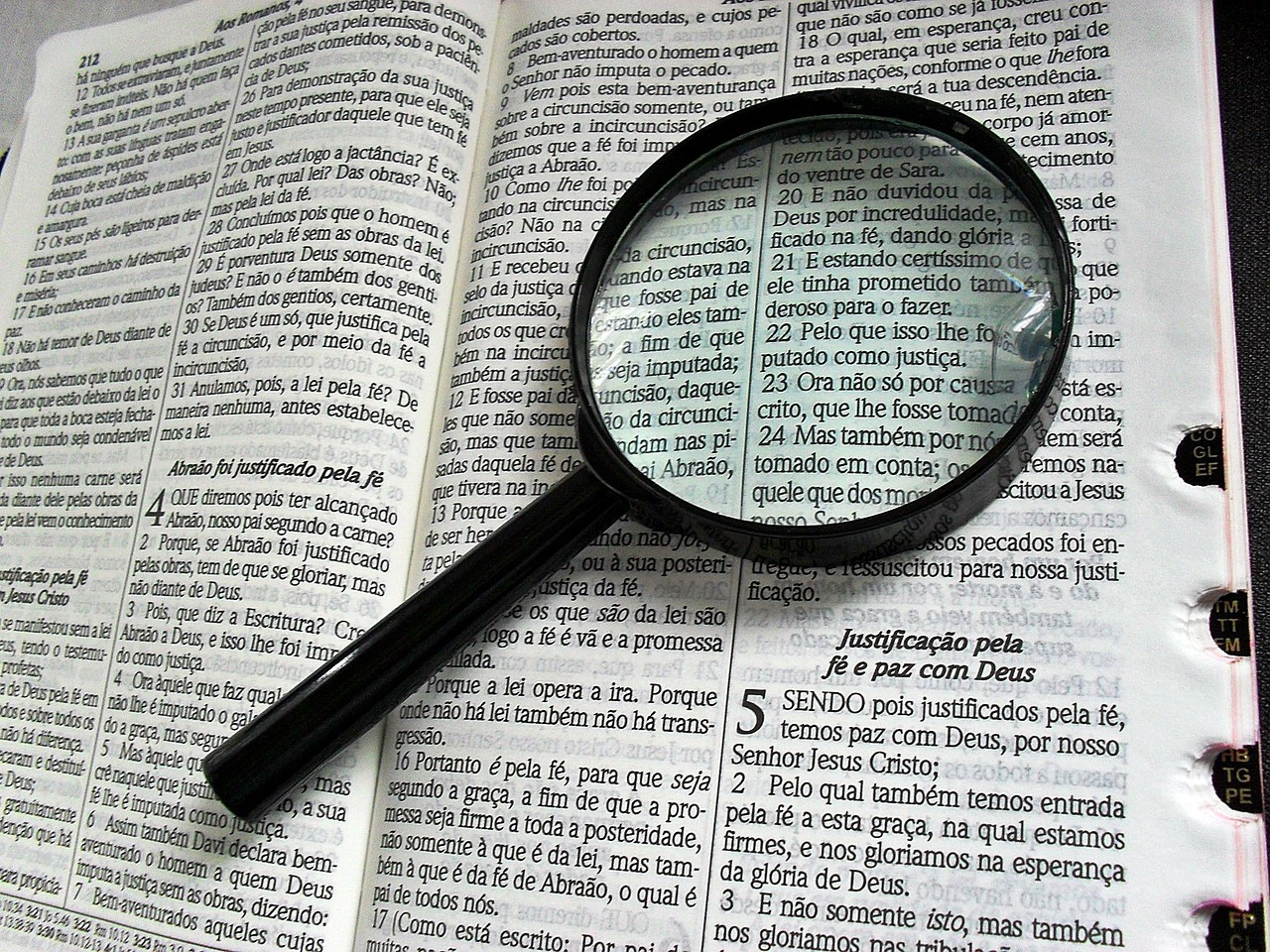 深入解析，如何使用Go語言高效搭建網(wǎng)站