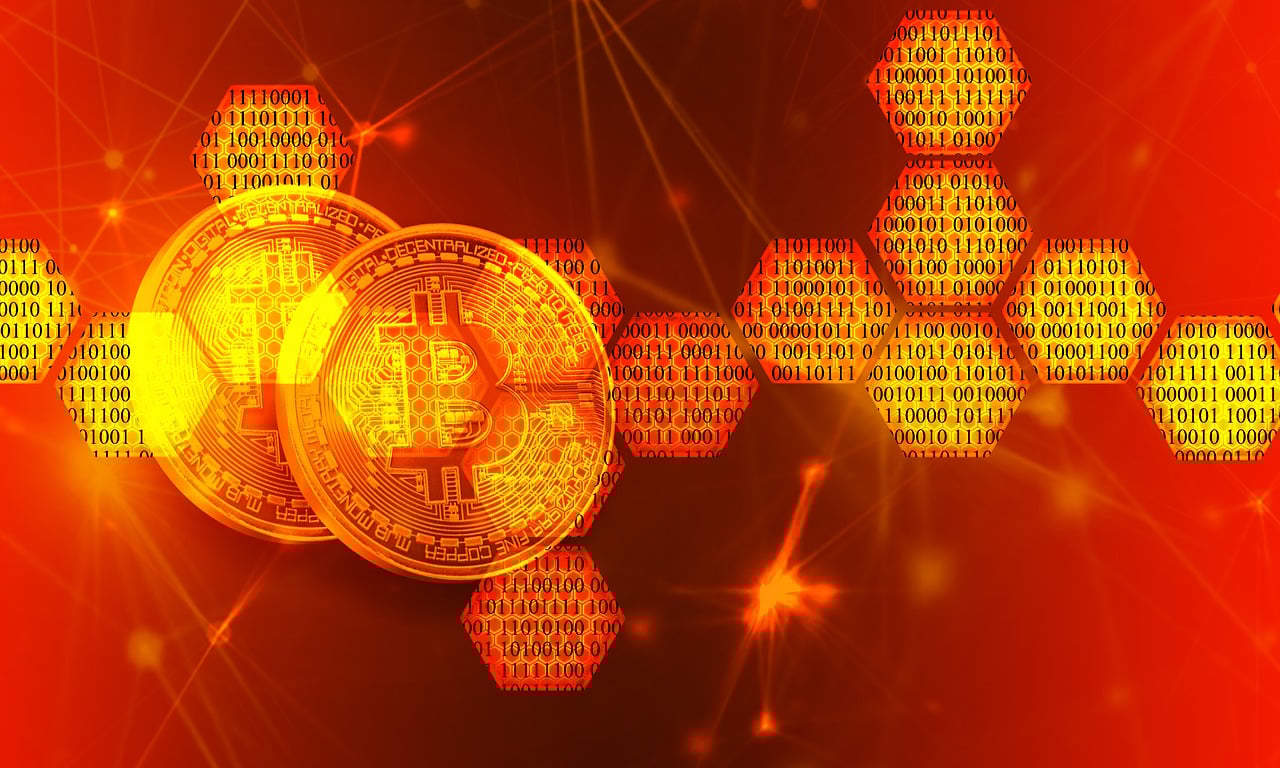網(wǎng)絡直播平臺構建全指南，從零開始打造你的直播王國