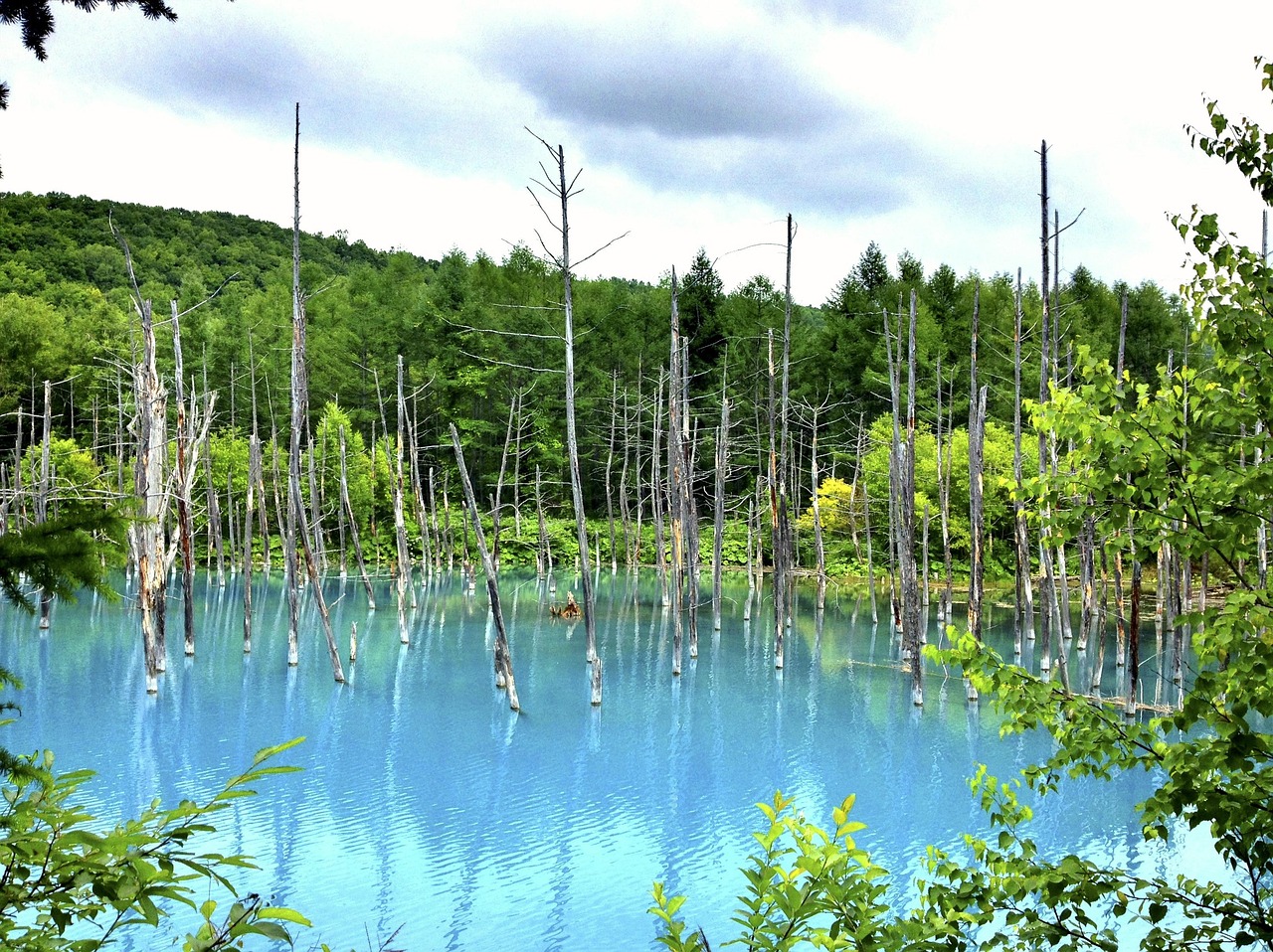 夢(mèng)中邂逅，那片美麗的風(fēng)景