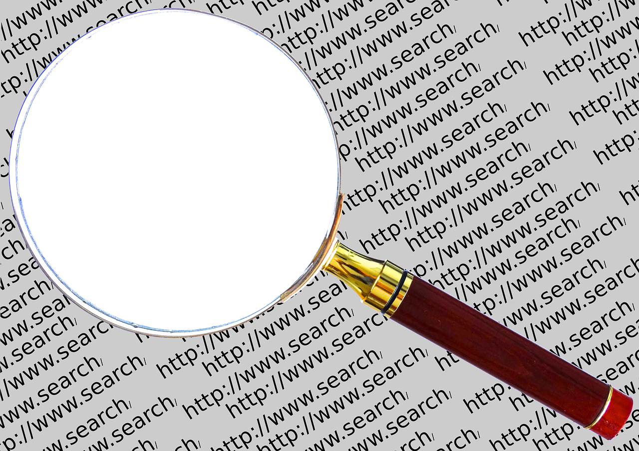 揭秘網(wǎng)站權重查詢秘籍，一探究竟網(wǎng)站權重何在？