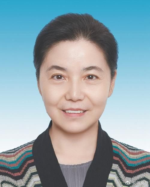 重磅！丁向群出任中國人保黨委書記