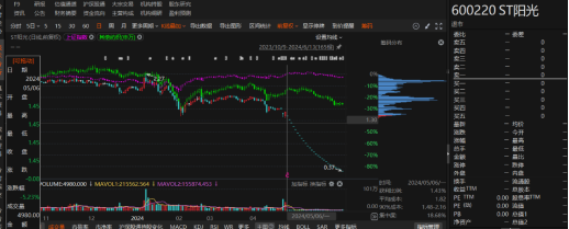 江蘇陽光有非經(jīng)營性資金占用和業(yè)績預(yù)告變臉！
