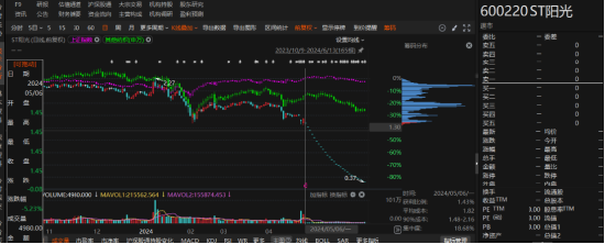 江蘇陽光有非經(jīng)營性資金占用和業(yè)績預(yù)告變臉！
