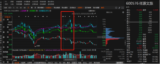 祥源文旅非經(jīng)營(yíng)性資金占用雖已歸還，但仍被出具警示函！