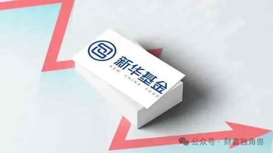 新華基金賴(lài)慶鑫在管7只基金6只虧損，高位持有國(guó)聯(lián)股份被質(zhì)疑