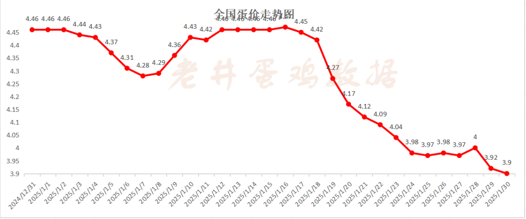 老井扯雞蛋：昨日全國(guó)雞蛋均價(jià)、淘汰雞均價(jià)均偏弱！