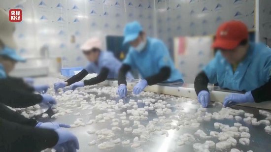 3·15晚會丨“保水蝦仁”，浮出水面！1斤蝦仁7兩冰……