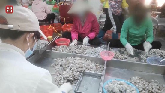 3·15晚會丨“保水蝦仁”，浮出水面！1斤蝦仁7兩冰……
