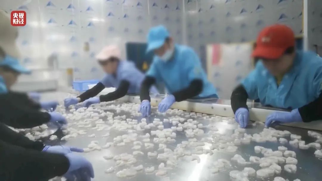 查封！關(guān)停！各地多部門連夜查處3·15曝光問題