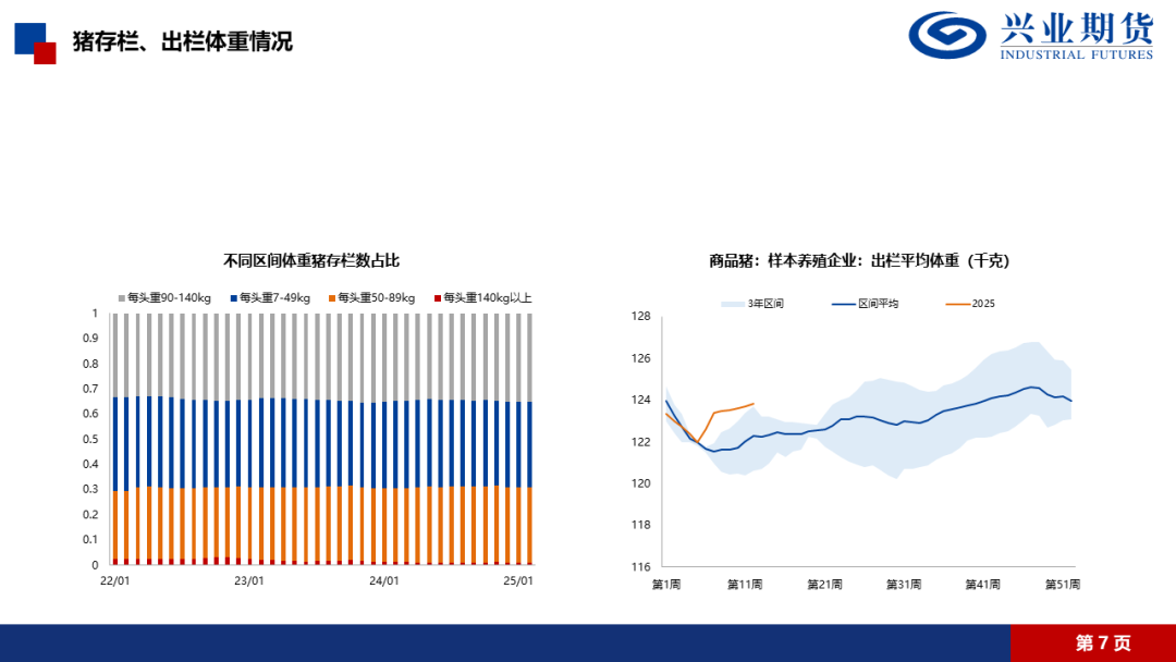 【興期研究·品種聚焦】生豬：消費(fèi)需求預(yù)計改善，下方仍有支撐