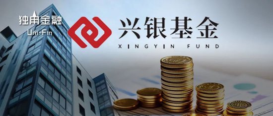 從“千億神話”到縮水190億，金融“女將”辭任興銀基金董事長