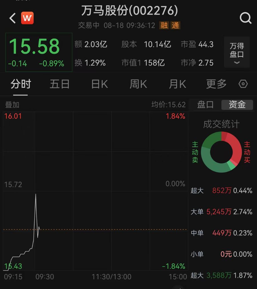 10億投資晚披露兩個月！萬馬股份收警示函，時任董事長已辭職